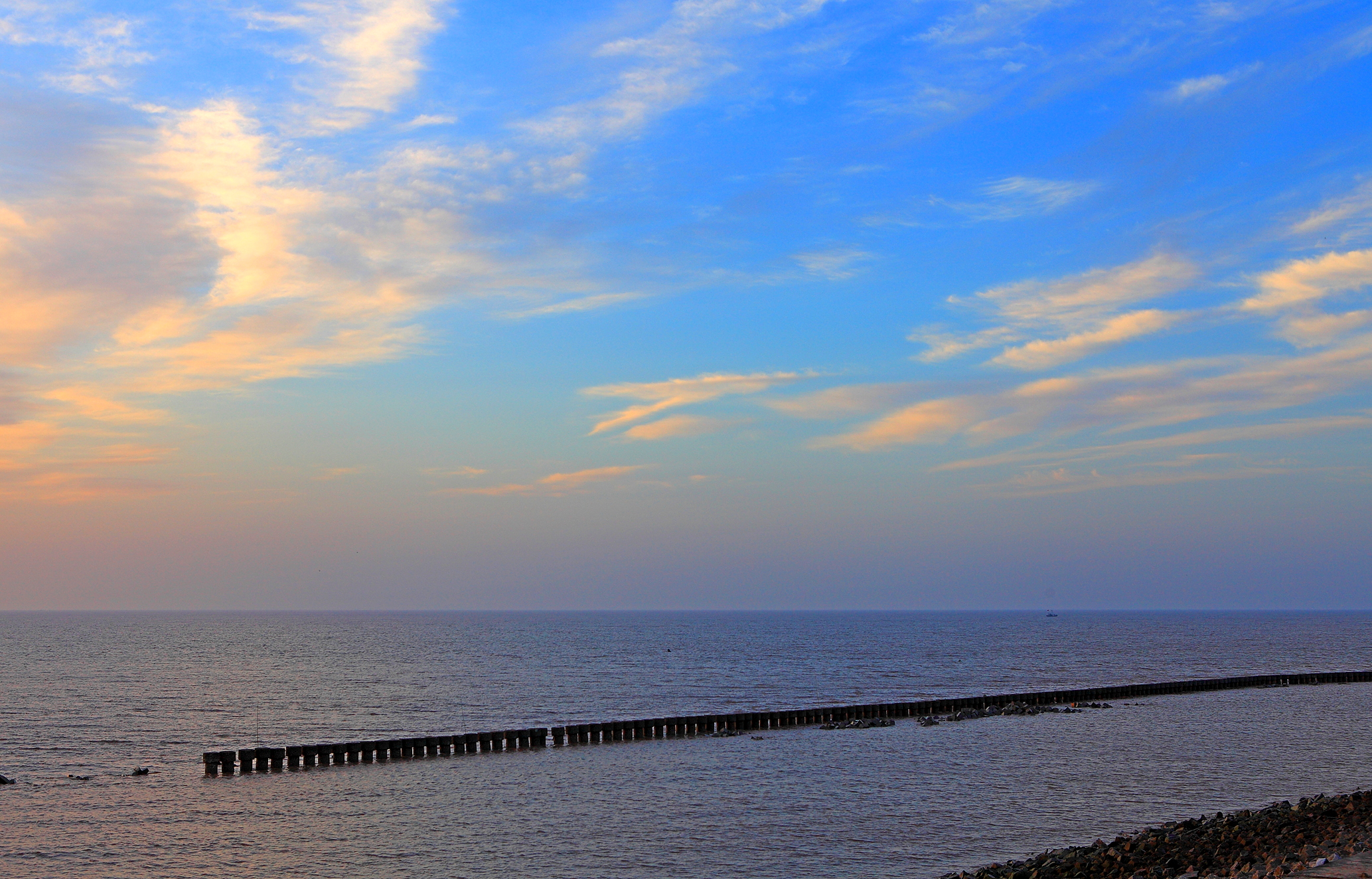  p>江苏盐城保护区(盐城沿海滩涂湿地)地处江淮平原,位于太平洋西海岸