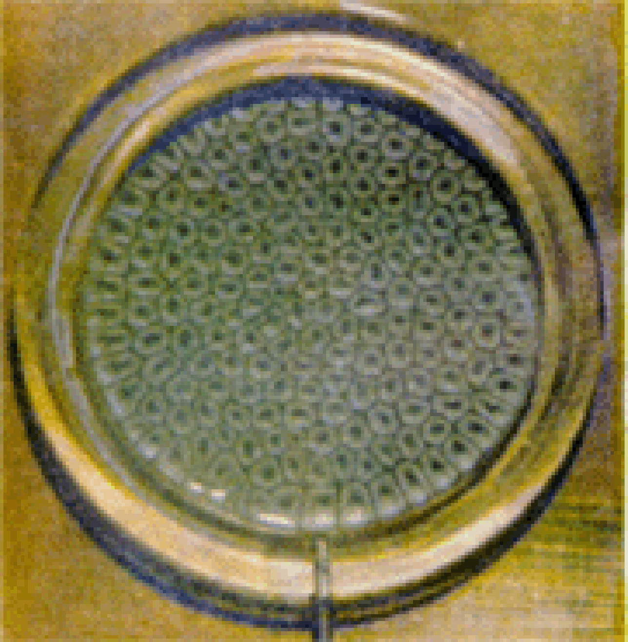  p>贝纳对流,一种 a href="#" data-lemmaid="1534061">流体 /a>自