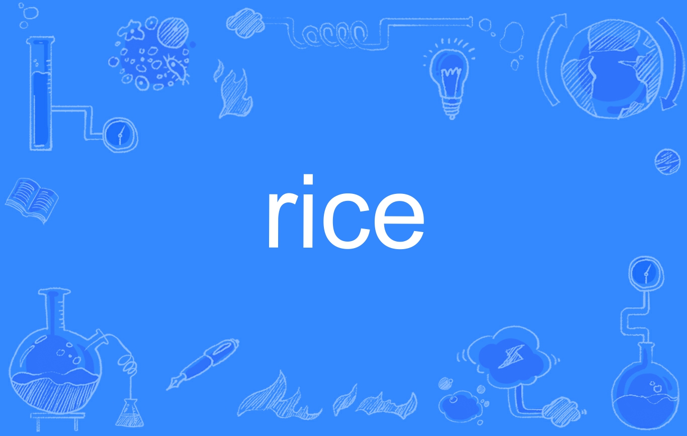  p data-id="gnvfxqnk8n">rice,英文单词,名词,动词,作名词时意为"稻