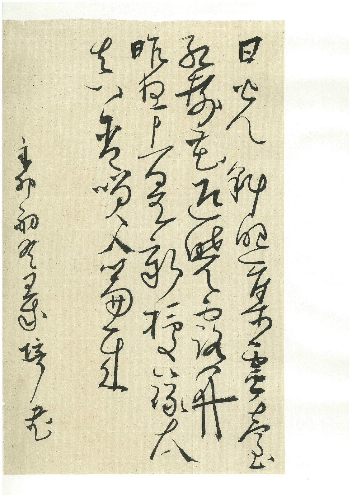 王飞