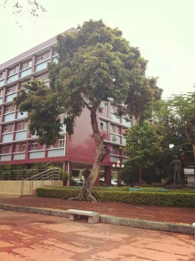广州第八十一中学