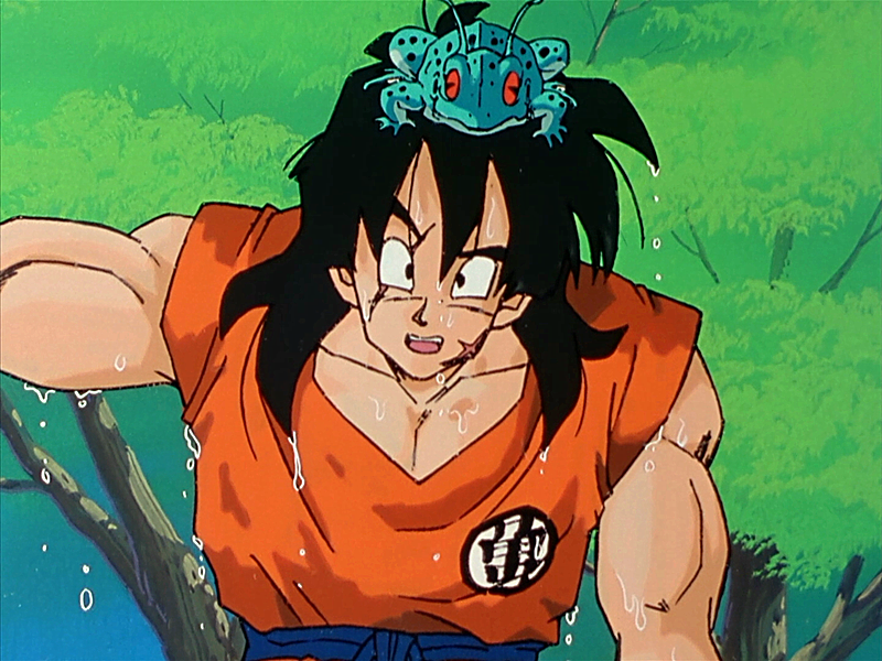 lcn">雅木茶(日文名:ヤムチャ,英文名:yamcha,又译:饮茶),日本经典 a