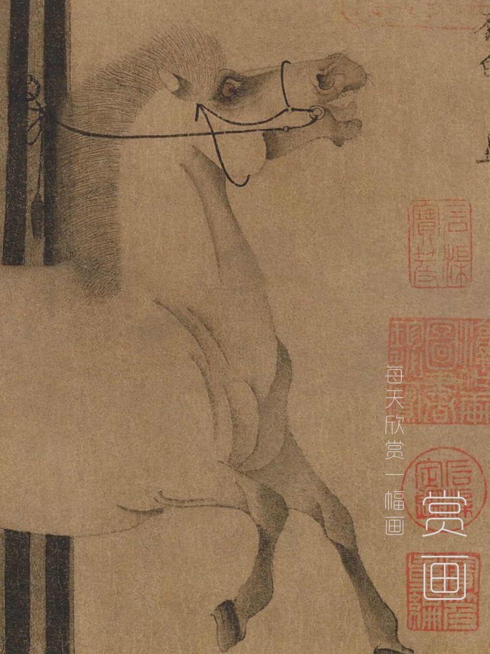 照夜白