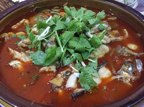 鲶鱼火锅