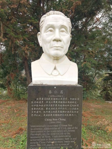 秦仁昌_百度百科