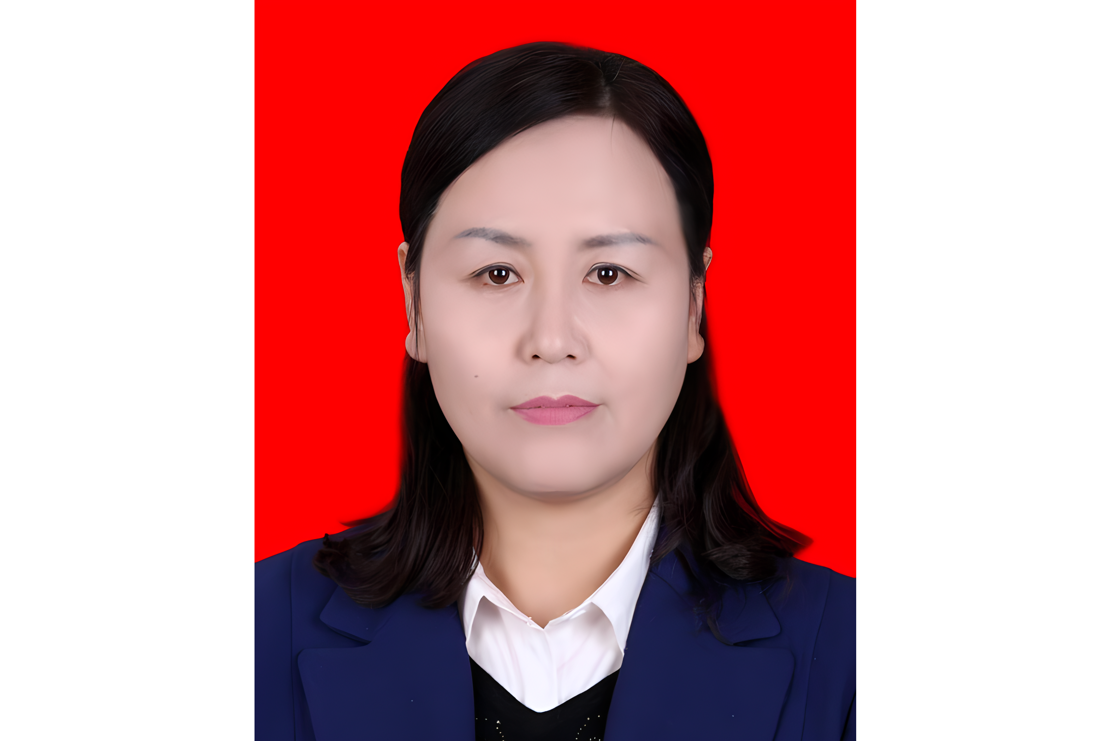 现任静宁县人民政府副县长,天津武清区挂职.