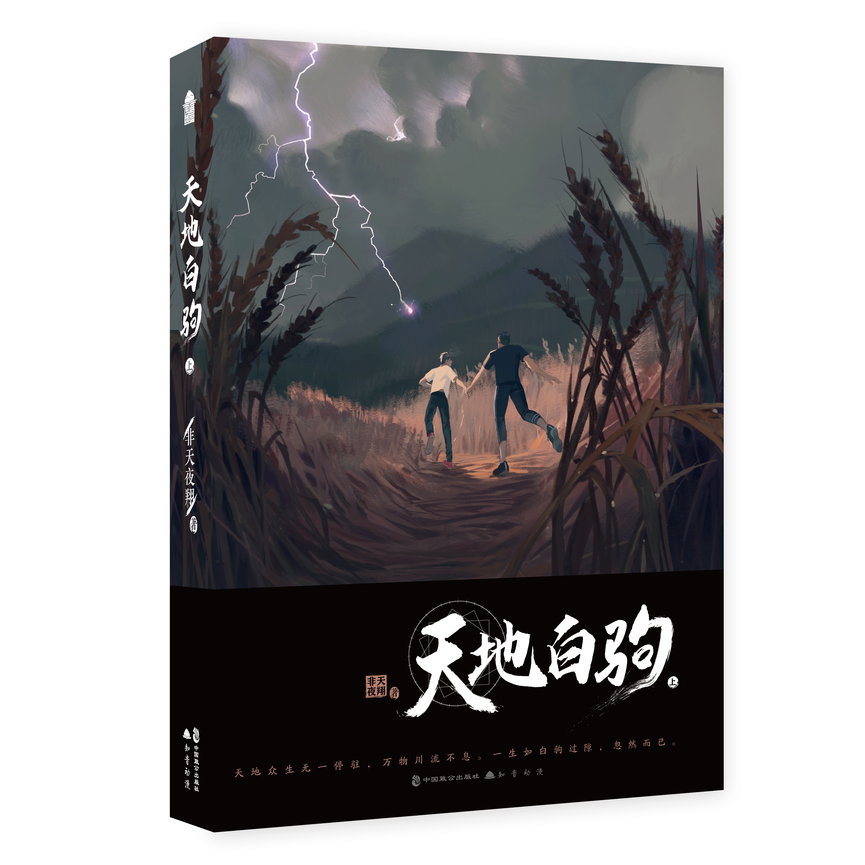  p>天地白驹是非天夜翔在 a target="_blank" href="/item/晋江文学城