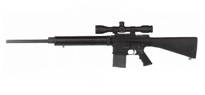 ar-10b步枪