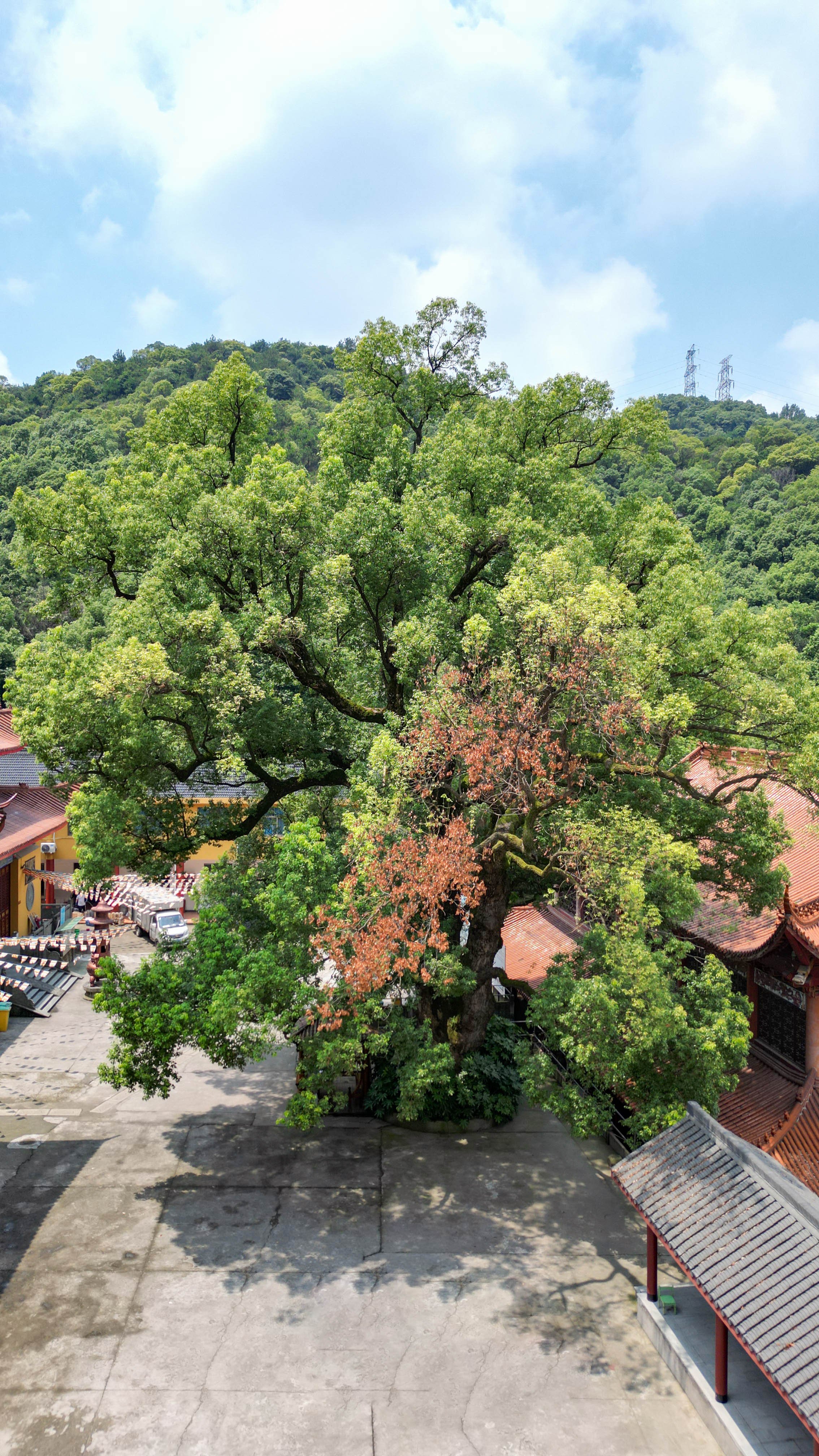 rx">地藏寺,浙江省 a target="_blank" href="/item/萧山市/6087443"