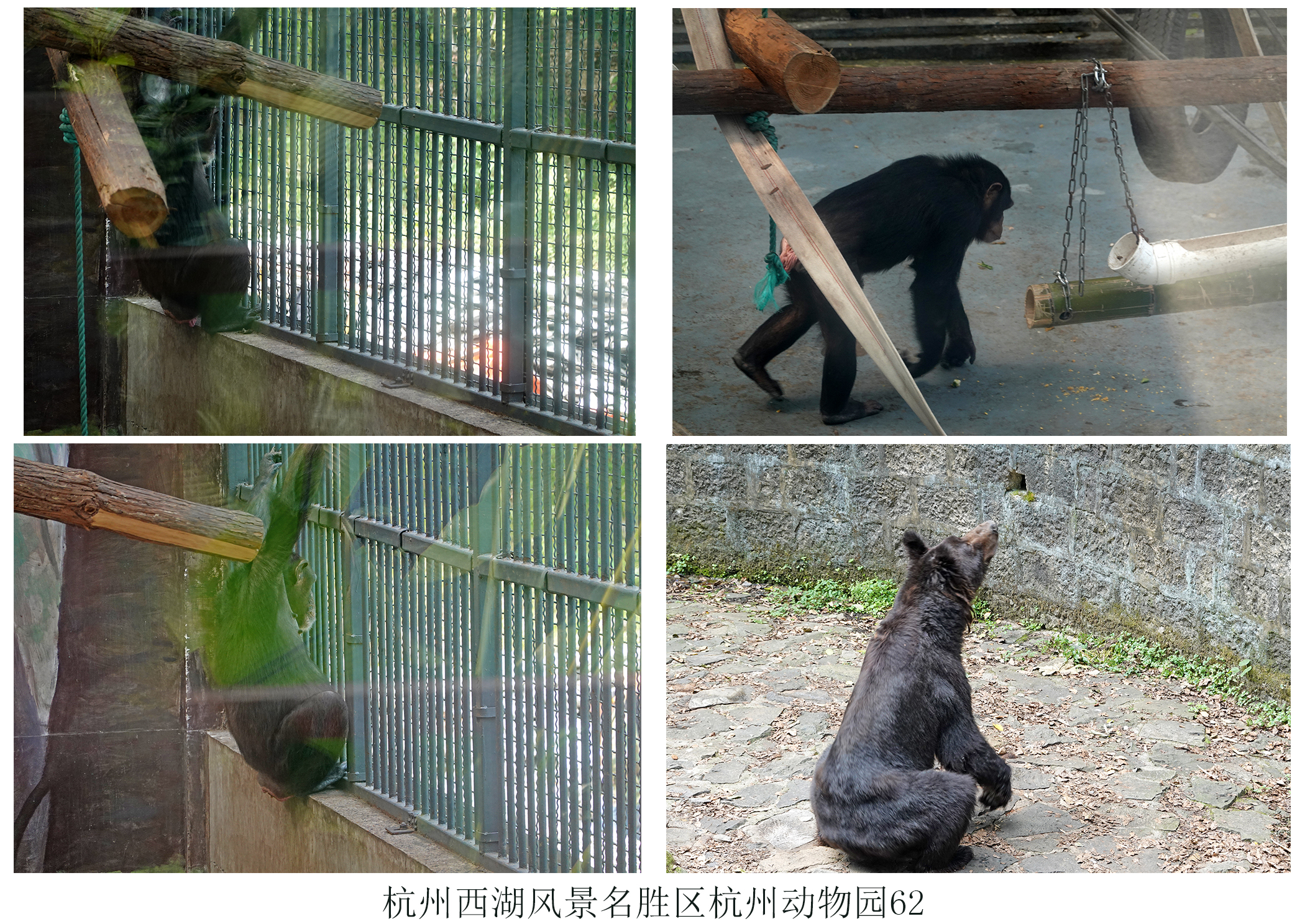 杭州动物园