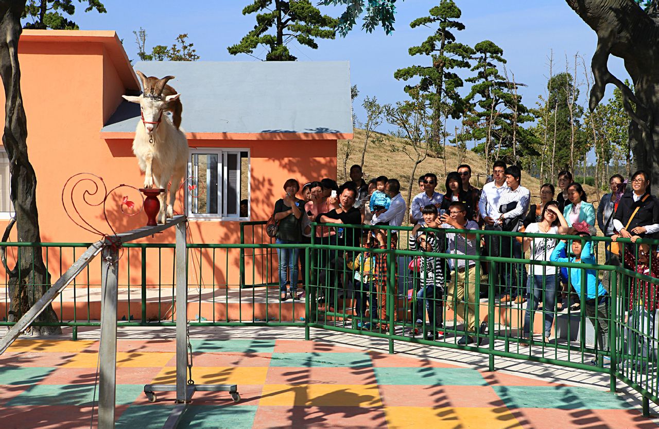 盐城大丰港动物园