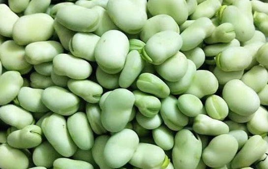 只开黑心花的蚕豆 如何成为令人垂涎的美食 百科ta说