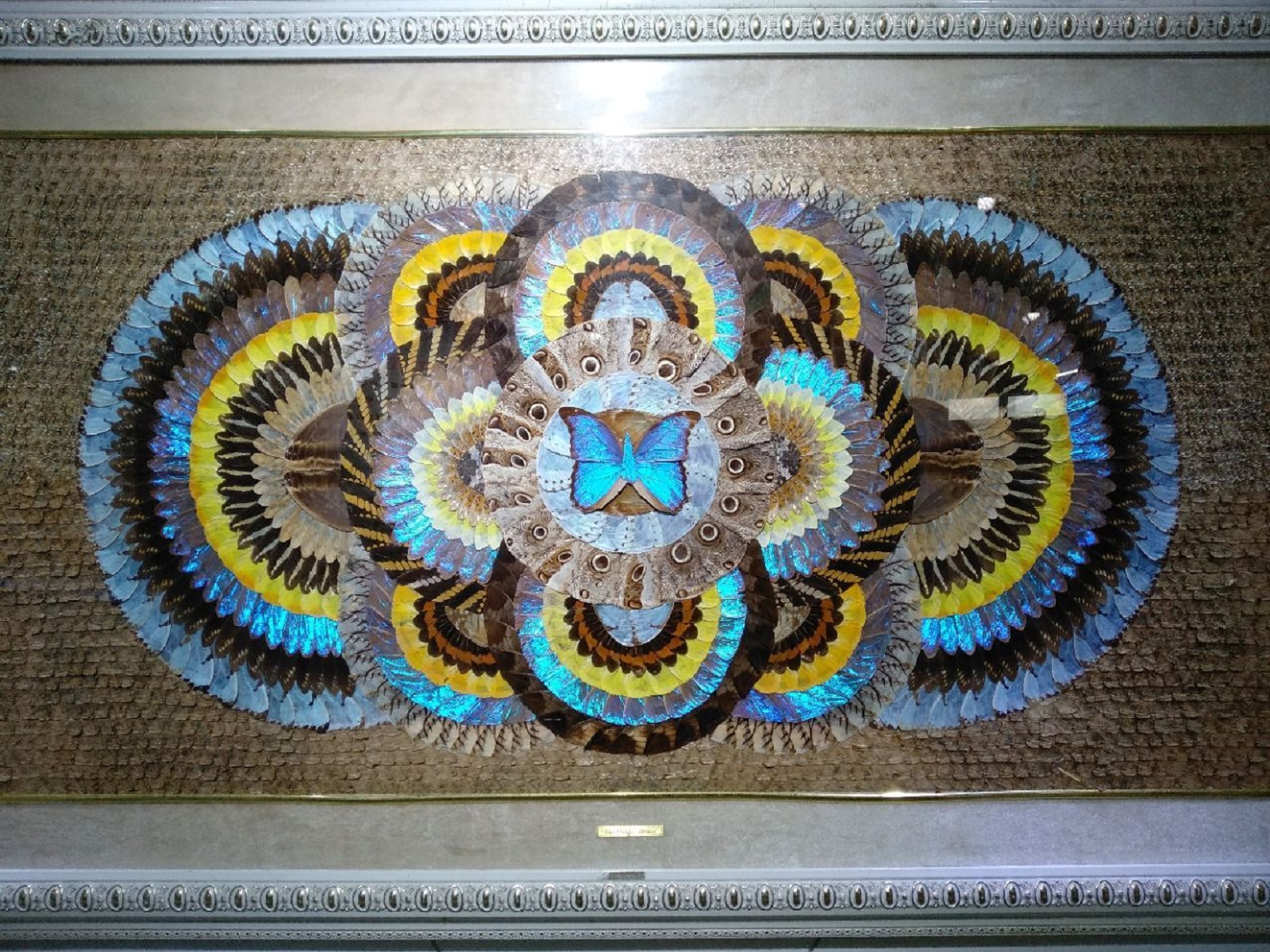  p>上海昆虫博物馆隶属 a href="#" data-lemmaid="4359465">中国科学