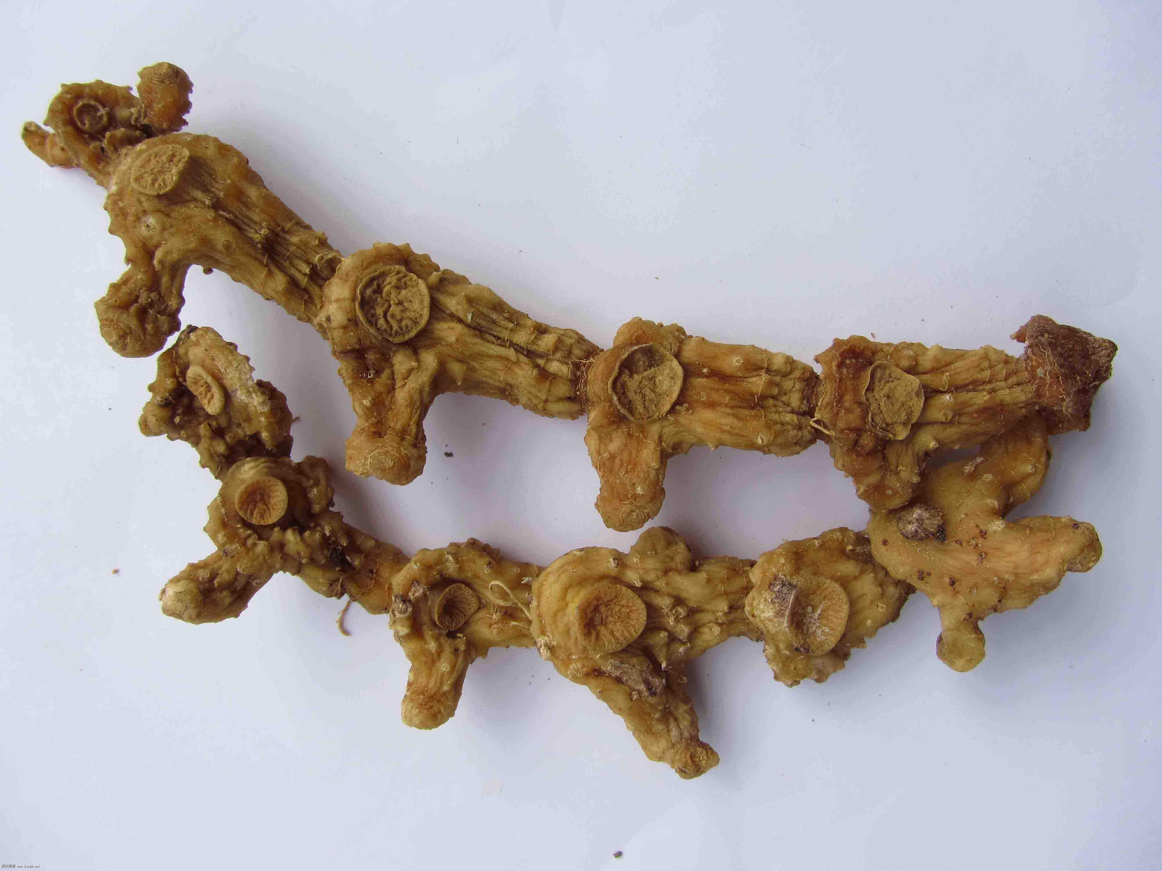 安徽省 a href="#" data-lemmaid="8344527">青阳县 /a>特产,中国国家