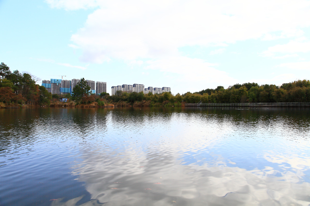 江西省林业科学院