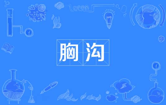 胸沟_百度百科