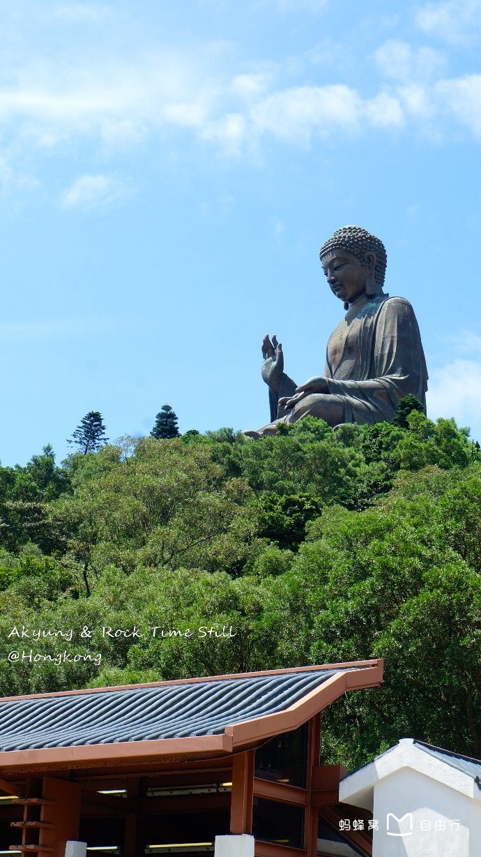 天坛大佛是全球最高的户外青铜坐佛,巍峨趺坐于海拔482米的香港大屿山