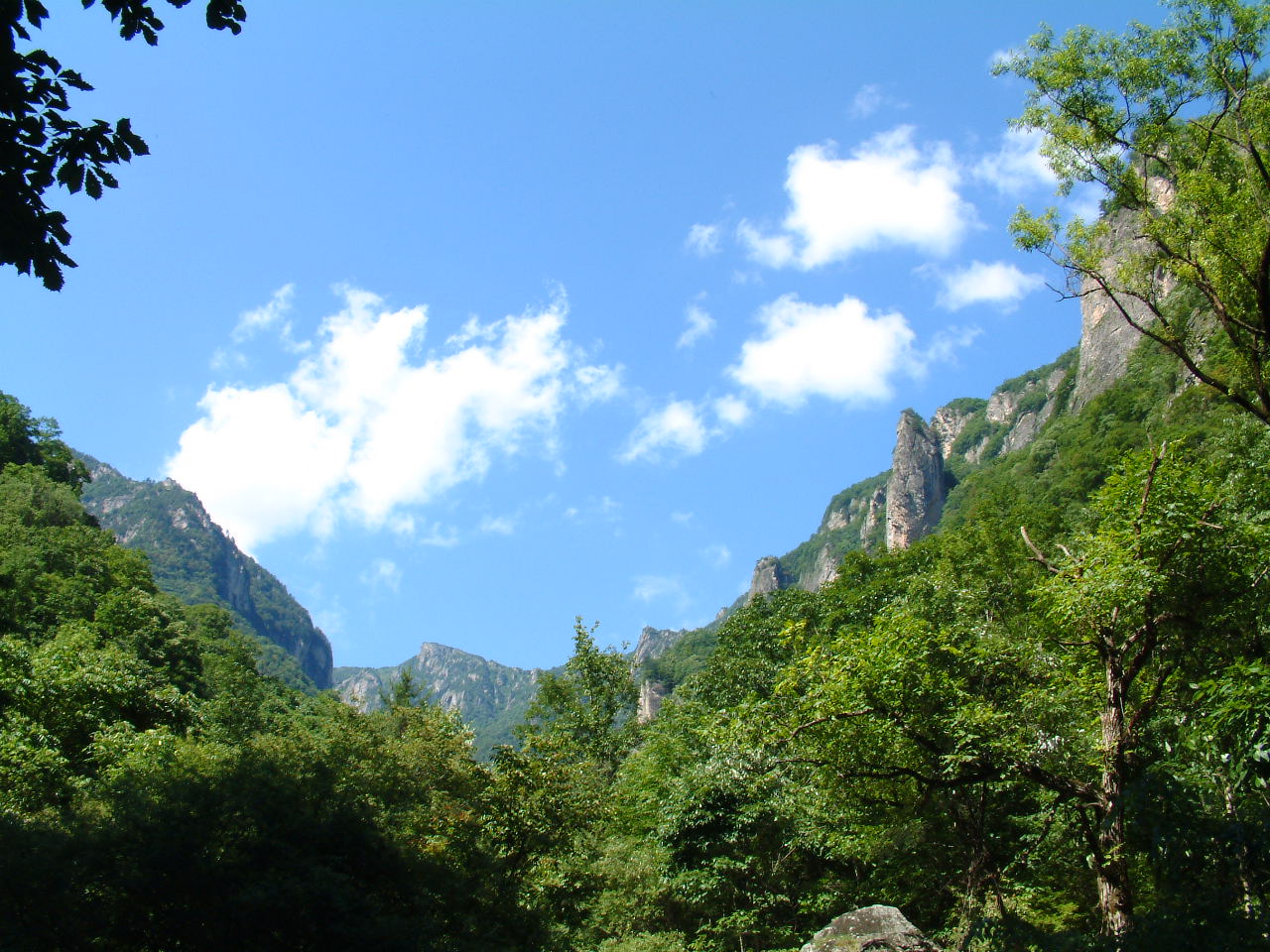  p>高山森林公园位于 a target="_blank" href="/item/四川省">四川省