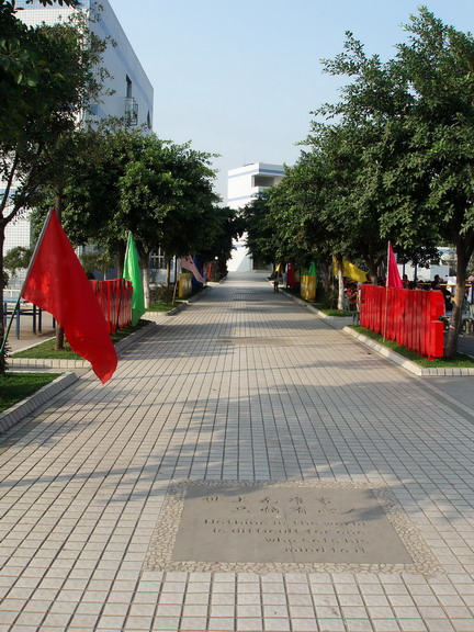 成都市龙潭小学校