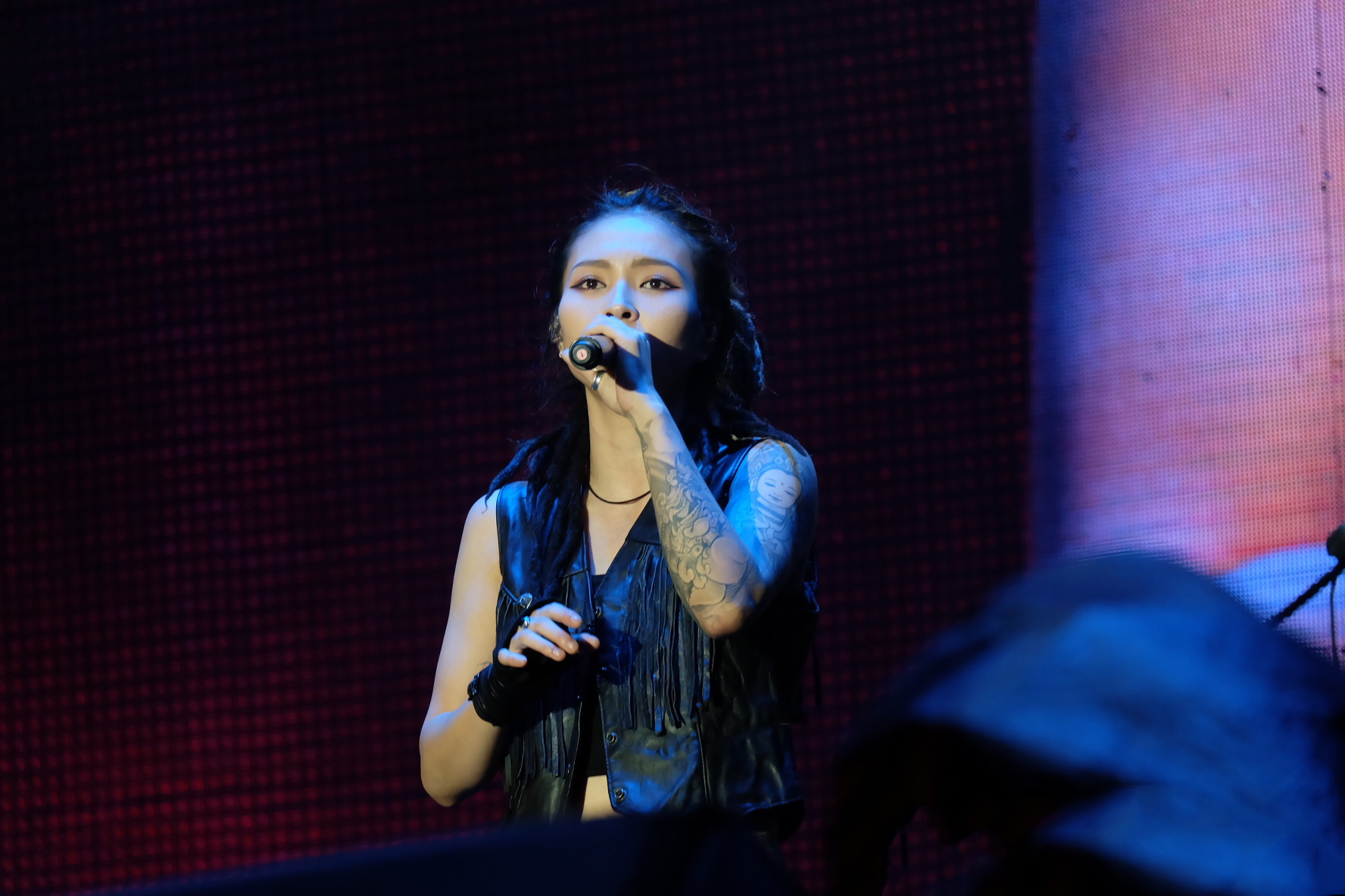 中国好声音第二季 毕夏