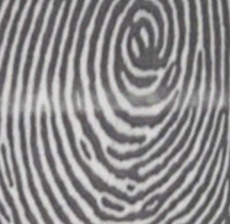 wwtp87j6">斗形纹是指纹类型之一,指内部花纹中心有一根以上的环形线