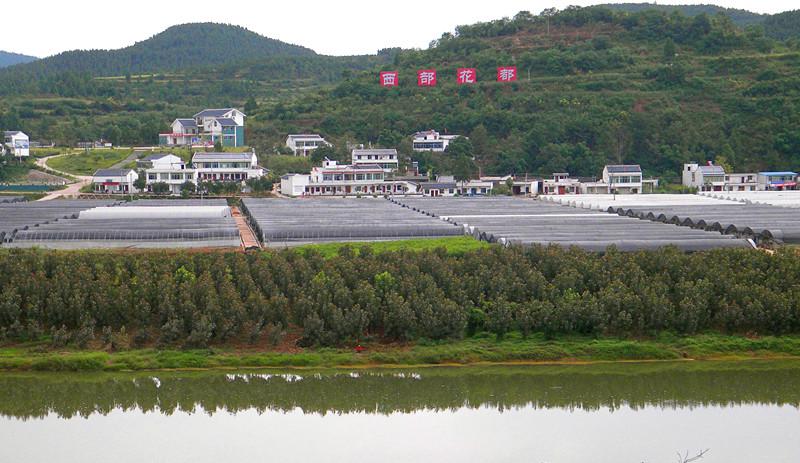  p>两河镇(已撤销),原隶属四川省绵阳市 a target="_blank" href="