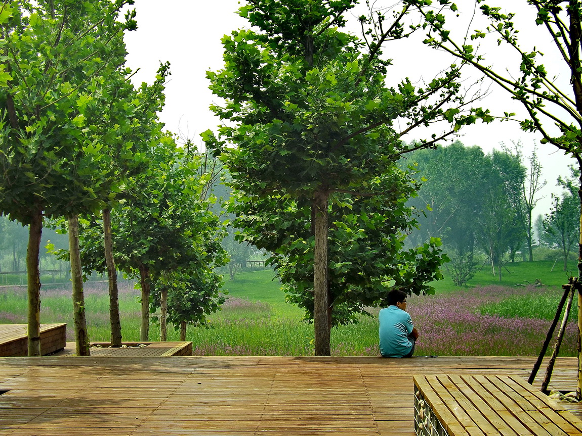 data-id="gnb699g9t7">潇河湿地公园(又名潇河公园),山西省晋中市榆次