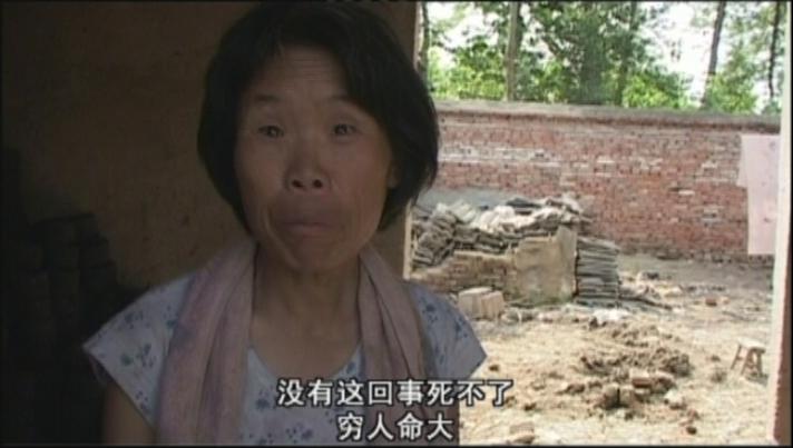 the blood of yingzhou district