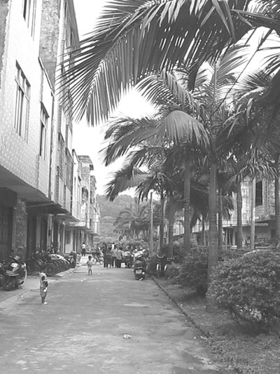 新安村