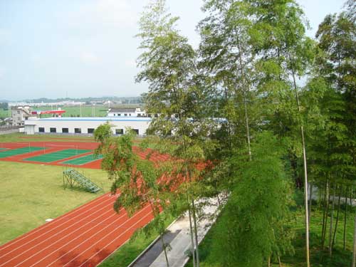 中国现代教育之父陶行知先生的故乡——国家历史文化名城歙县