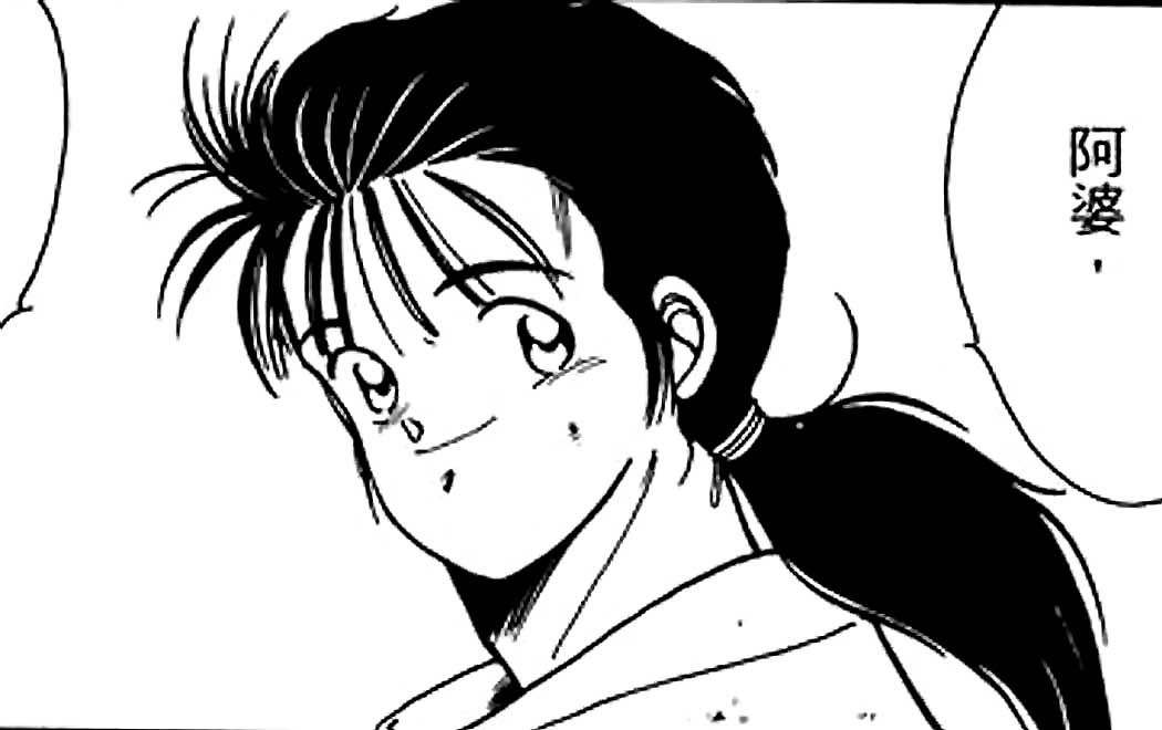 ">陆奥圆明流 /a>的外传,其正传是31卷长篇格斗漫画《修罗之门》