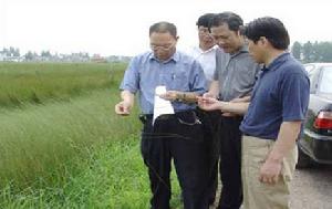  p>朴席镇位于 a href="#" data-lemmaid="5118164">仪征市 /a>东部, 