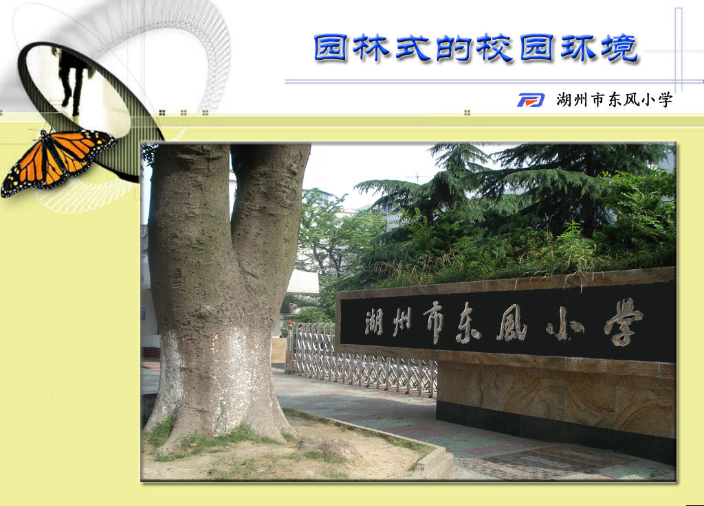 湖州市东风小学