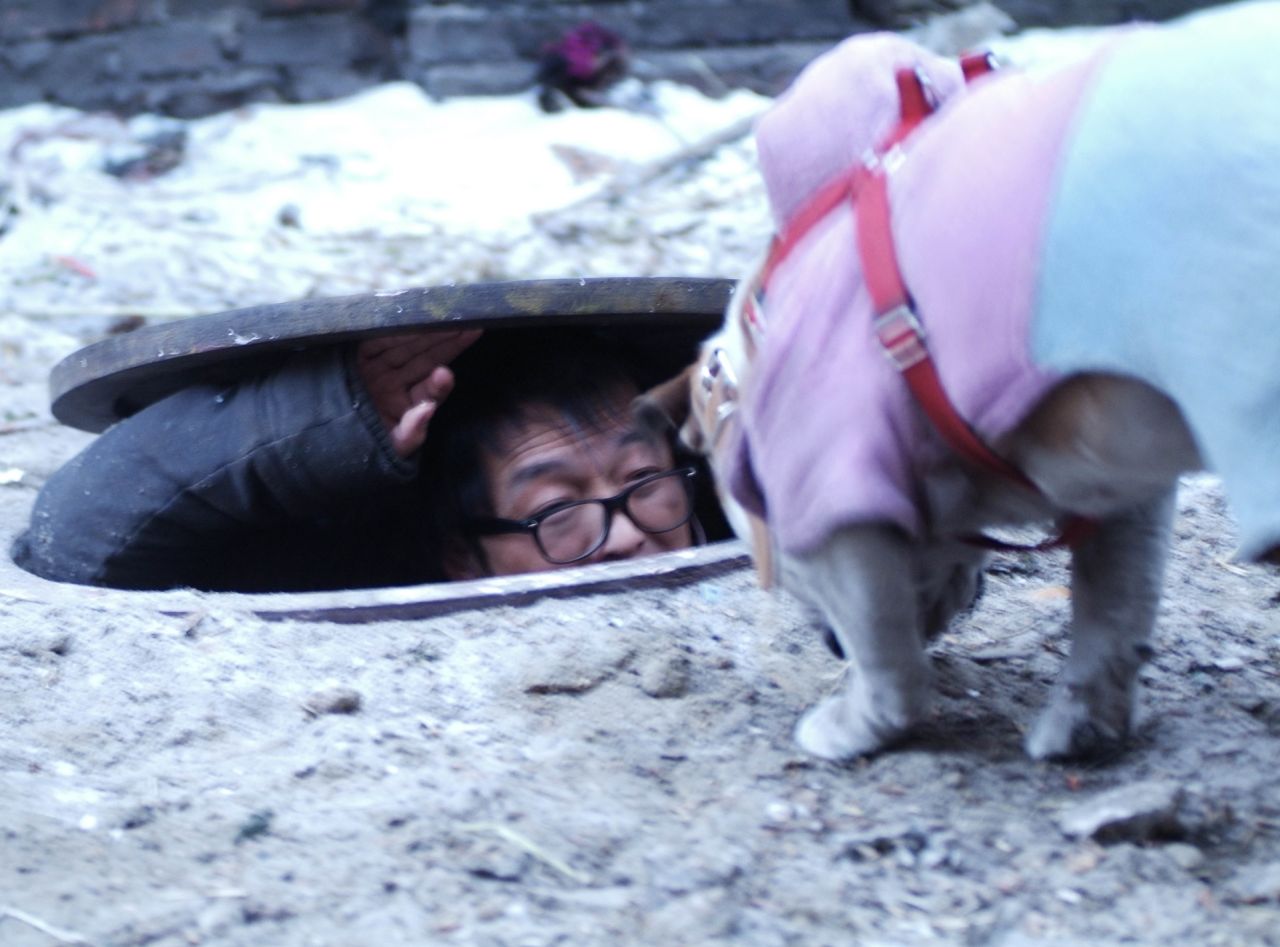  p>《倔强萝卜》是由 a href="#" data-lemmaid="2620059">上海文广