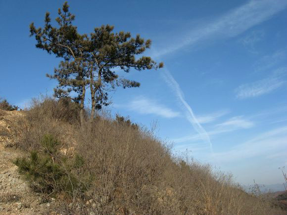 北山公园