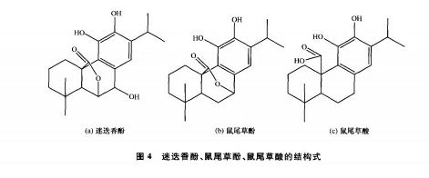 "gnxa89ungh">迷迭香提取物的主要成分为迷迭香酚,鼠尾草酚和鼠尾草酸