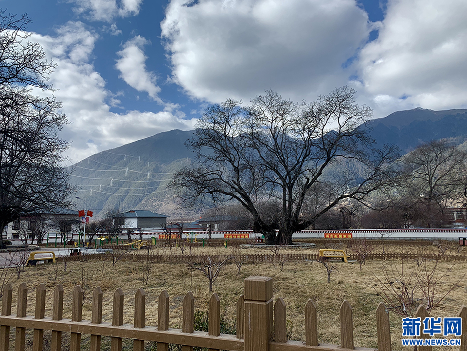  p>西藏自治区林芝市米林县米林镇辖行政村.