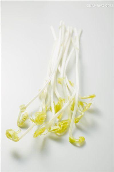 豆芽