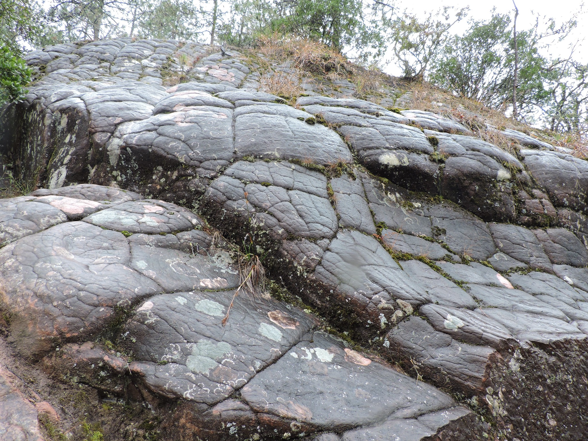 风化石农学名词