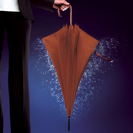  p> a href="#" data-lemmaid="1035705">纳米雨衣伞 /a>是雨伞与雨衣