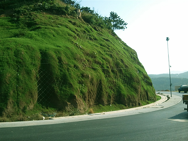  a href="#" data-lemmaid="12979389">植被混凝土 /a>","植生混凝土"