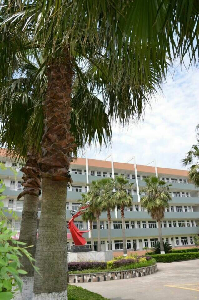 学校,简称 a target="_blank" href="/item/平阳职业中专/8771137"