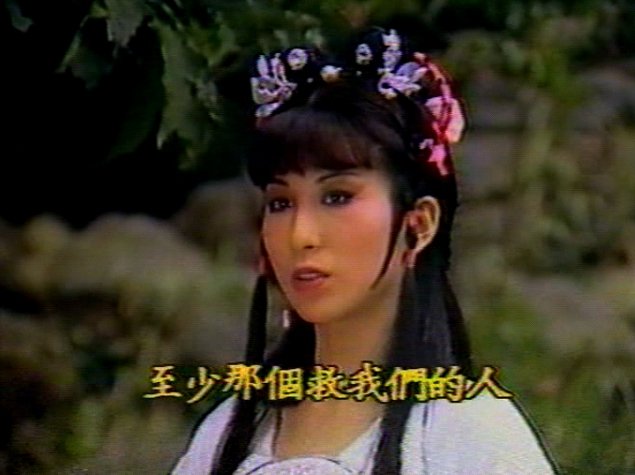 《挥剑问情》是由詹龙执导, a target="_blank" href="/item/刘皓怡