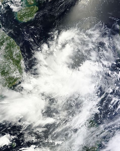 2013年太平洋台风季