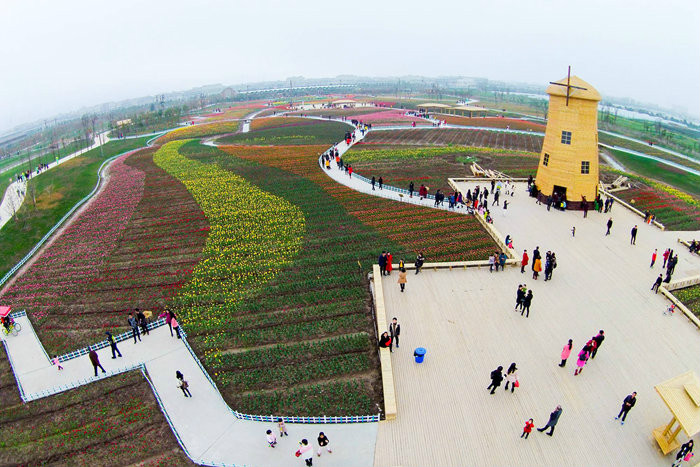  p>温州市龙湾雅林现代农业园是集观光休闲,采摘体验,农业示范,科技