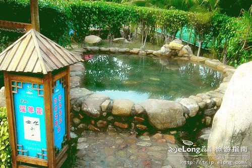 富都温泉度假村