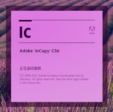 adobe incopy