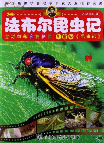 法布尔昆虫记:蝗虫