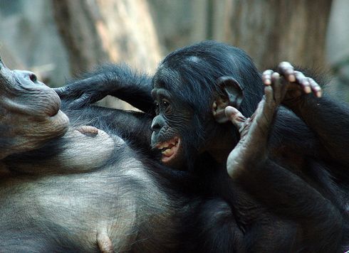 ˺ʲôｻܻ_˺Ͷｻͼ_ｻ ¿Ƶ