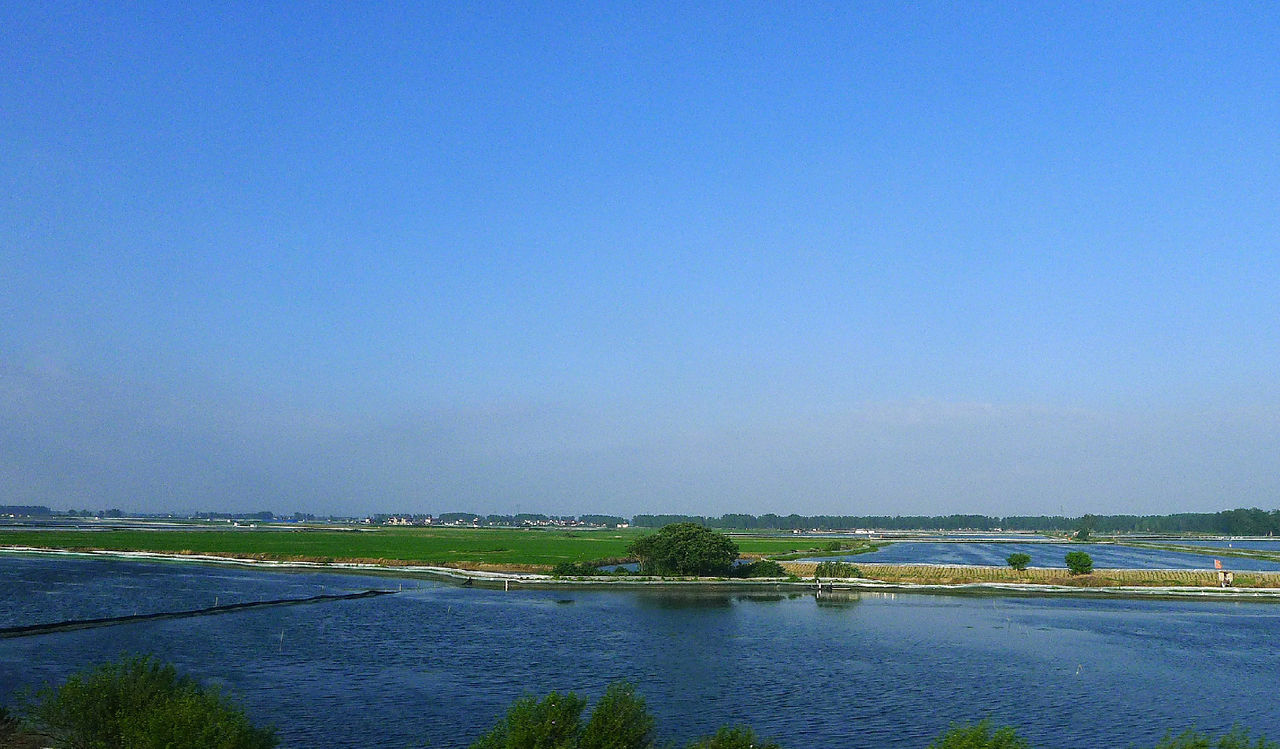 盐城风景